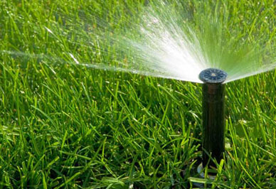 Irrigation Repair In Tucson